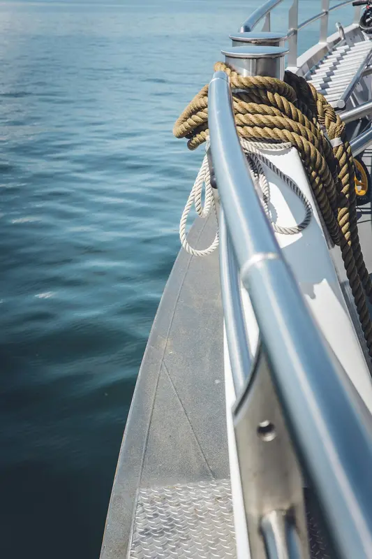 Adrenaline.Boats Premium Domain